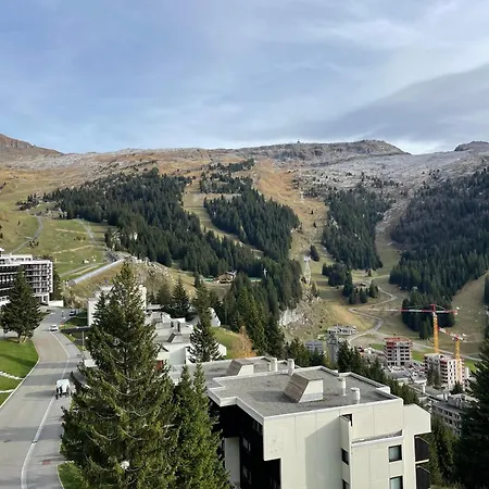 Forêt *