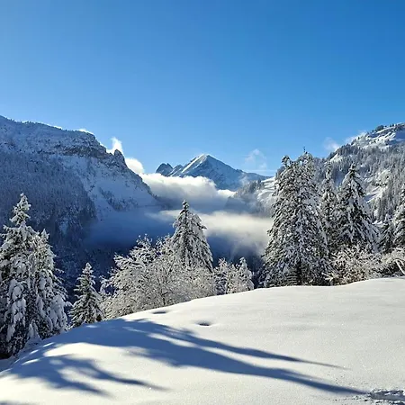 Lägenhet Foret Flaine